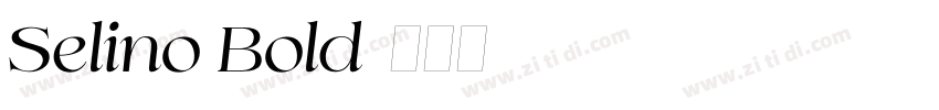 Selino Bold字体转换